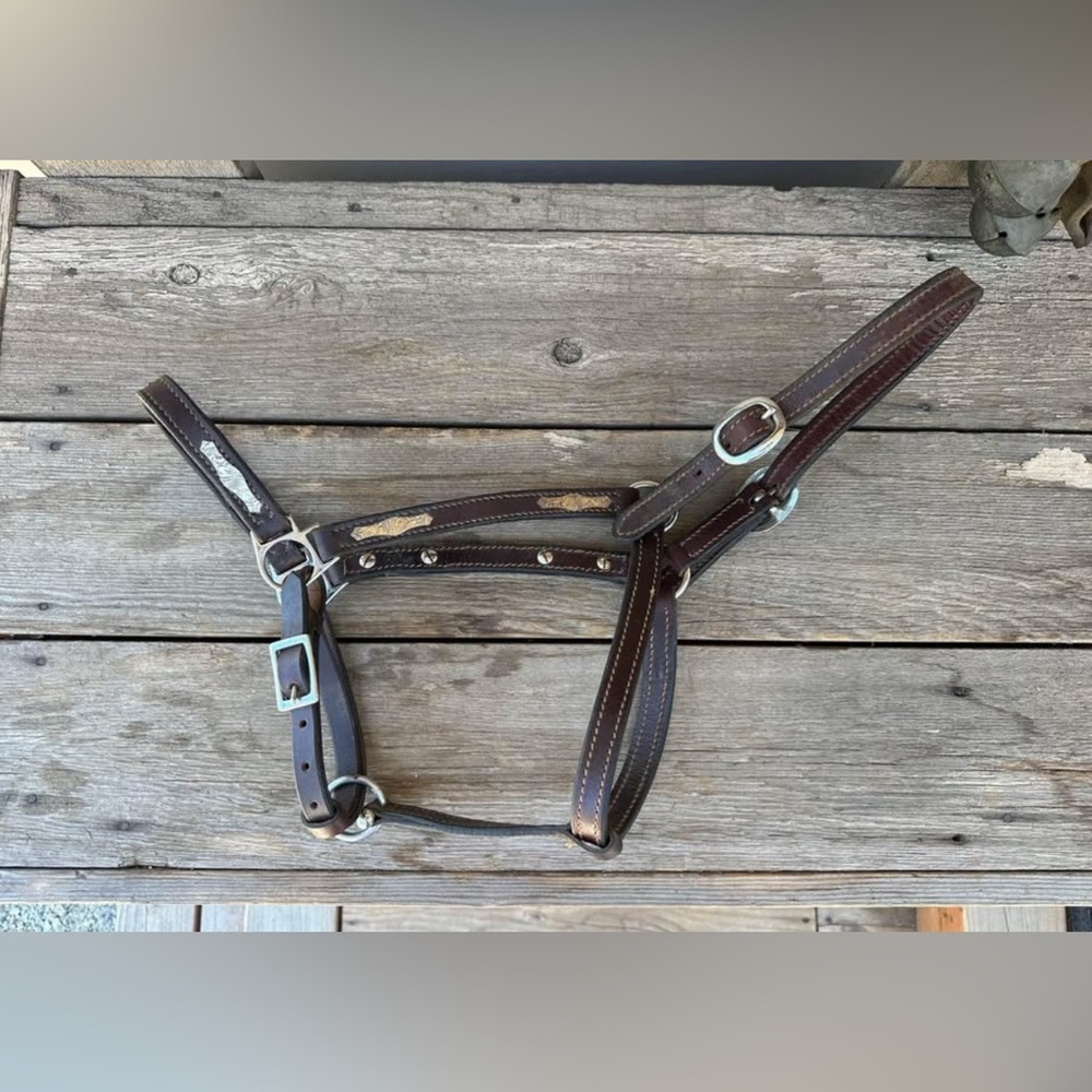 Horse Tack - Leather Show Halter